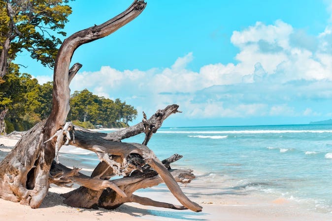 Havelock Island