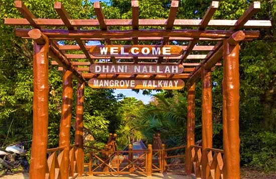 Dhani Nallah